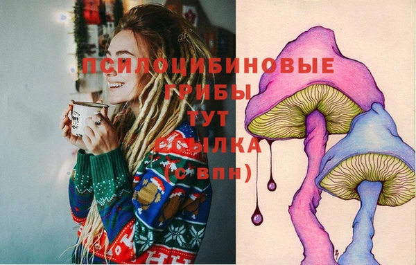 PSILOCYBIN Арсеньев